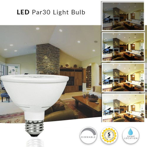 LED PAR30 Shortneck Bulb - 10 Watt - 750 Lumens - 5000K Daylight - E26 Medium Base - 120V - Dimmable