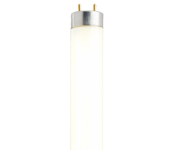 Tube Fluorescent