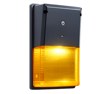 Turtle Friendly Lights