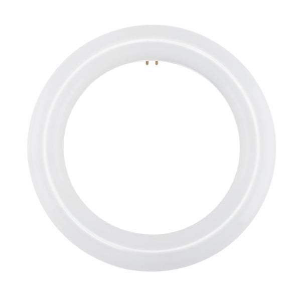 LED Circline T9 Lamp Replaces FC8T9/D - 8 inch, 11 Watt, 1200 Lumens, 6500K Daylight Deluxe - Ballast Bypass