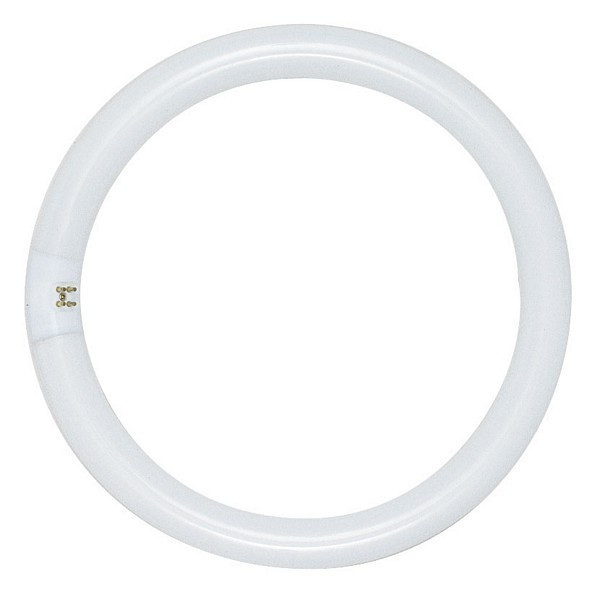 cielbleu4点 Superior Lighting - 30 Watt Fluorescent T9 Circline 8 In
