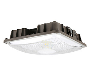 LED Canopy Lighting