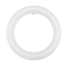LED T9 Bulb Replaces FC12T9/WW - 12 inch, 16 Watt, 1600 Lumens, 3000K Soft White - Ballast Bypass
