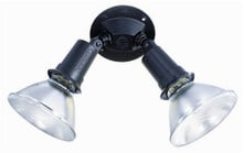 2 Light - 10" - Flood Light, Exterior - Par38 W/Adjustable Swivel