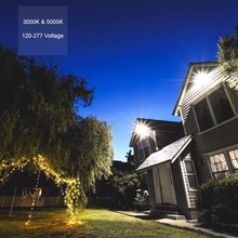 LED Adjustable Cutoff Wall Pack - Watt Selectable 80W/64W/48W/32W Max 11200 Lumens - Color Selectable 30K/40K/50K - 120-277V - Bronze Finish