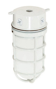 1 Light - 11" - Industrial Style - Surface Mount W/Frosted Glass