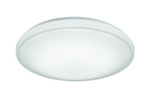 Hildon LED Flush Mount for Residential Use Only, 14IN, 80 CRI, 3000K,