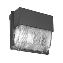 Vandal Guard, Polycarbonate, TWH Wall-Pack, 4-Pack, SKU - 593969 - TWHVG J4