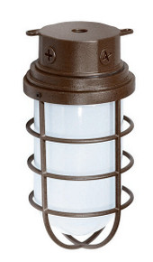 1 Light - 10" - Industrial Style - Surface Mount W/Frosted Glass 231