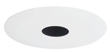 4IN Downlight Pinhole with Baffle Trim,Black, White Trim Ring