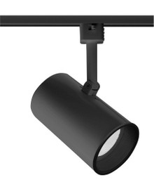Trac-Master Flat Back Cylinder R20/PAR20, Black Baffle, Black