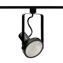 Trac-Lites Open Back SpotLight PAR38, Black