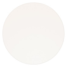 UV Filter,3.75IN Diameter