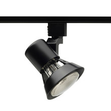 Trac-Lites Flared Gimbal PAR20, Black