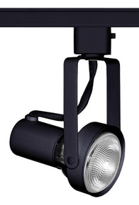 Trac-Master Front Lamping Gimbal PAR20, Black