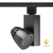 Trac-Master Conix II LED,Generation 3,2700K,90 CRI,Phase Dimmable,Flood,Black