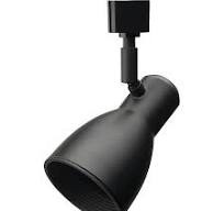Track head, BR20 Lamp, Black