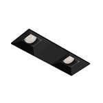 2IN Square Adjustable Pinhole, 2 head, B - 2SQ2APIN BD BLSF WET