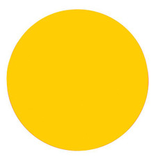 Dichroic Glass Filter, 2IN Diameter, Yellow - DGF 200 DYEL