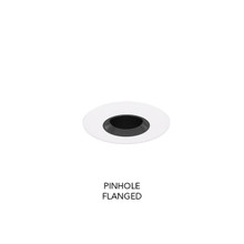2IN Adjustable Pinhole, 1 3/4IN, Black Diffuse, Black Flangeless, Wet Location Listing