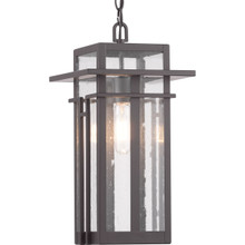 Boxwood Collection One-Light Hanging Lantern - Damp Location Listed