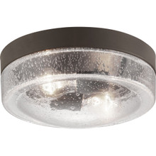 Weldon Collection Two-Light Flush Mount - Damp Location Listed - Model P550042-129