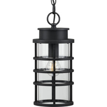 Port Royal Collection One-Light Hanging Lantern with DURASHIELD - Damp Location Listed