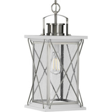 Barlowe Collection Stainless Steel One-Light Hanging Lantern - Damp Location Listed