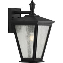 Cardiff Collection One-Light Medium Wall Lantern with DURASHIELD - Wet Location Listed