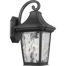 Marquette Collection One-Light Medium Wall Lantern with DURASHIELD - Wet Location Listed
