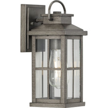 Williamston Collection One-Light Antique Pewter and Clear Glass Transitional Style Small Outdoor Wall Lantern