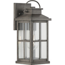 Williamston Collection One-Light Antique Pewter and Clear Glass Transitional Style Medium Outdoor Wall Lantern - Wet Location Listed