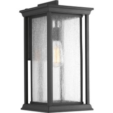 Endicott Collection One-Light Extra-Large Wall Lantern - Wet Location Listed