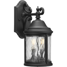 Ashmore Collection Two-Light Wall Lantern - Wet Location Listed - Model P5649-31