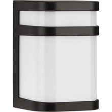 Valera Collection LED One-Light LED Linear Lantern - Wet Location Listed - Model P5800-12930K9