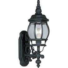 Onion Lantern Collection One-Light Wall Lantern - Wet Location Listed
