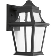 Endorse Collection One-Light Small Wall Lantern - Wet Location Listed