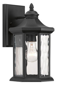 Edition Collection One-Light Medium Wall Lantern - Wet Location Listed - Model P6071-31