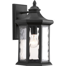 Edition Collection One-Light Large Wall Lantern - Wet Location Listed - Model P6072-31