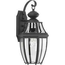 New Haven Collection One-Light Medium Wall Lantern - Wet Location Listed