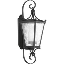 Cadence Collection Black One-Light Medium Wall Lantern - Wet Location Listed
