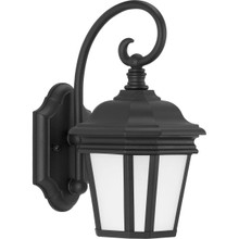 Crawford Collection Black One-Light Small Wall Lantern - Wet Location Listed