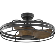 Bastrop Collection 26 in. Three-Blade GraphiteTransitional Ceiling Fan with 3 Speed Remote Control - Damp Location Listed