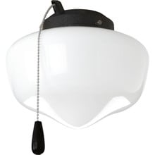 AirPro Collection One-Light Ceiling Fan Light - Wet Location Listed