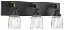 Rushton Collection Three-Light Graphite Clear Glass Farmhouse Bath Vanity Light - Damp Location Listed