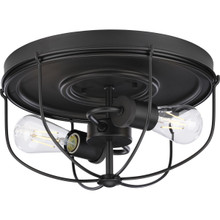 Medal Collection Two-Light Graphite Industrial Style Flush Mount Ceiling Light - Damp Location Listed