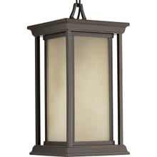 Endicott Collection One-Light Hanging Lantern - Damp Location Listed - Model P5500-20