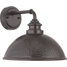 Englewood Collection One-Light Medium Wall Lantern - Wet Location Listed - Model P560098-020