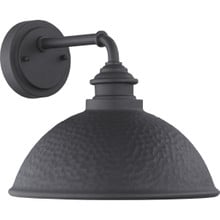 Englewood Collection One-Light Medium Wall Lantern - Wet Location Listed - Model P560098-031