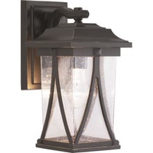 Abbott Collection One-Light Small Wall Lantern - Wet Location Listed - Model P560113-020